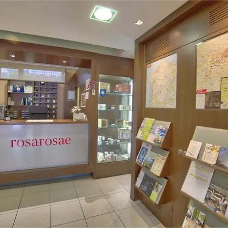 Pr Rosa Rosae 산티아고데콤포스텔라