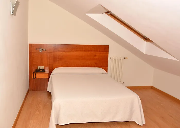 Pr Rosa Rosae Santiago de Compostela