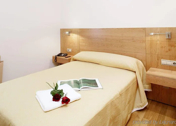 Pr Rosa Rosae San Giacomo di Compostella