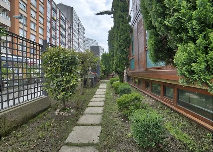 Pr Rosa Rosae Santiago de Compostela